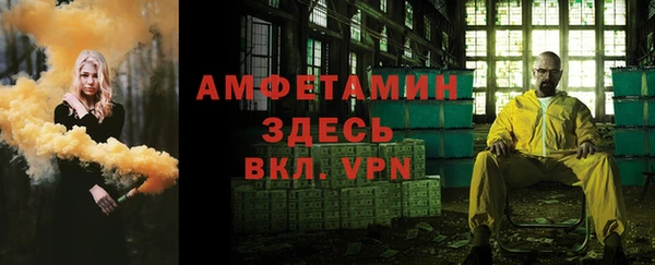 метадон Алексин