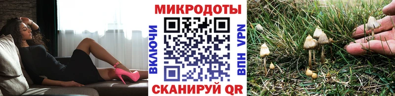 Купить закладки  Пермь  Галлюциногенные грибы ЛСД 